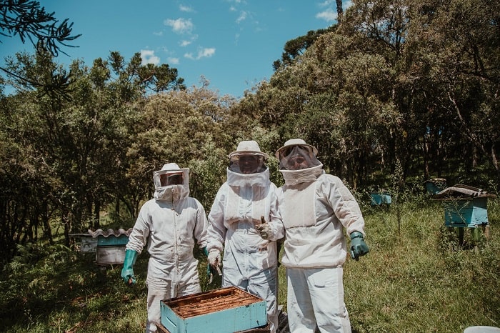 How to Processing Beeswax