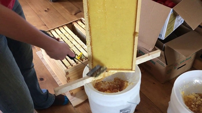 how-to-remove-honey-from-frames-without-using-an-extractor