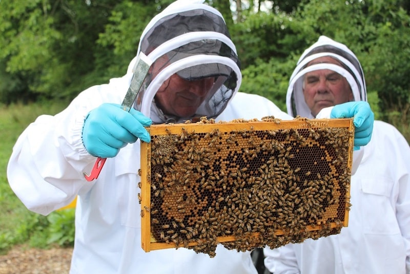 What are bee suits made of?