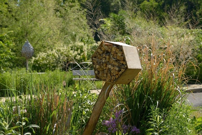 How To Attract Bees To A Bee House