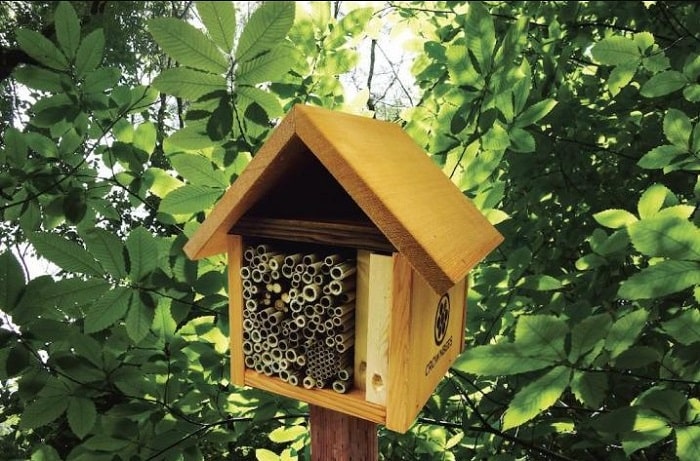 How To Attract Bees To A Bee House