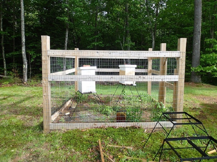 How High Should A Beehive Be Off The Ground