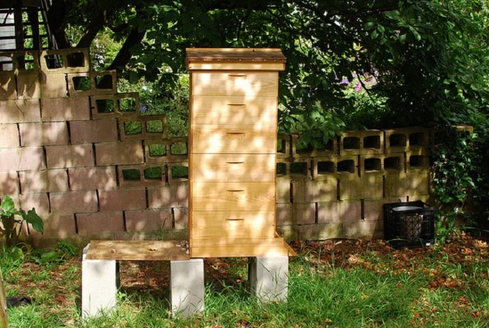 How High Should A Beehive Be Off The Ground