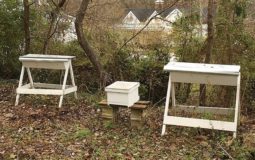 How To Build A Modern Top Bar Beehive