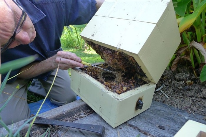 How to split a beehive