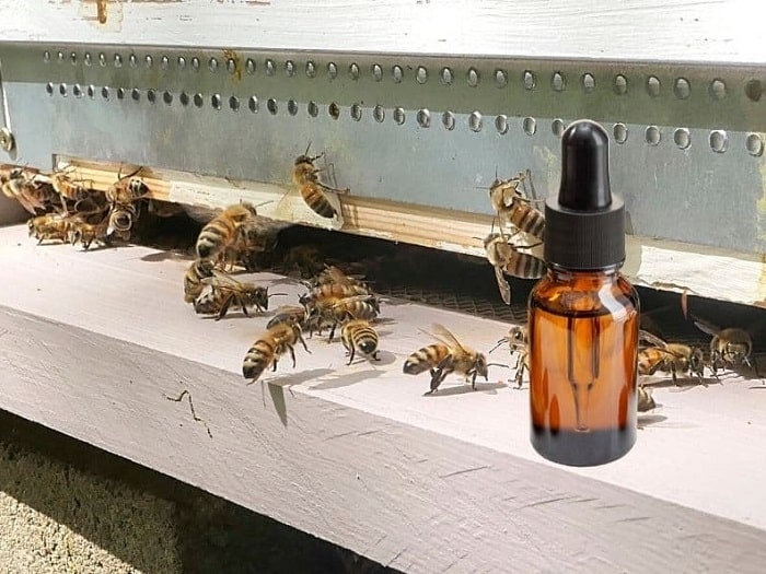 Essential Oils For Bees - Role in the health of bees?