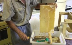 How To Extract Honey By Pressing Machine