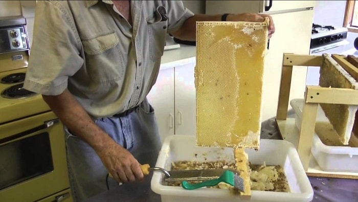 How To Extract Honey By Pressing Machine