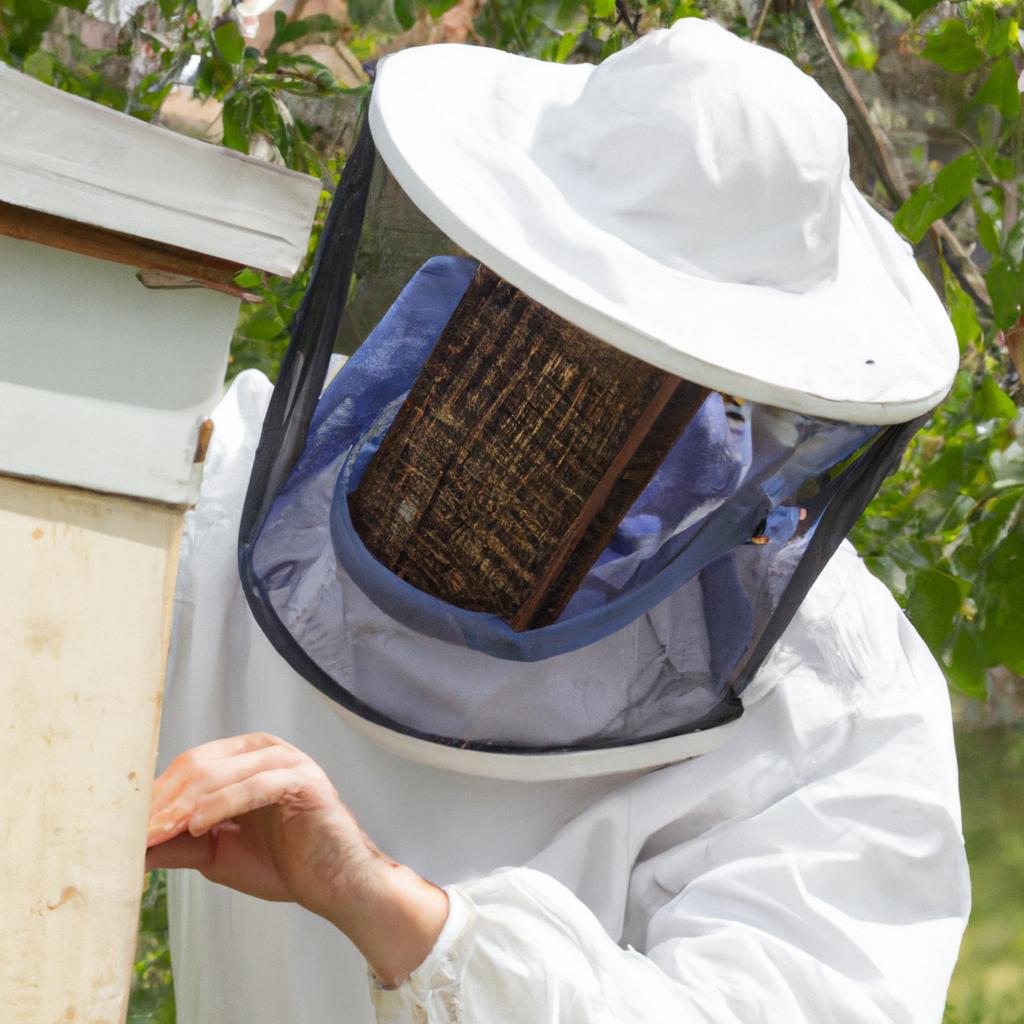 Removing the hive should be done with caution and safety in mind