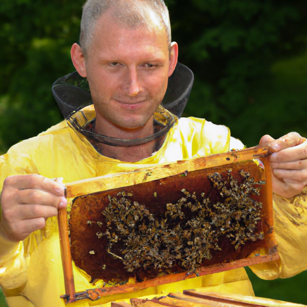 Beekeepers need to regularly check their hives to see if the honeycombs are ready for harvesting