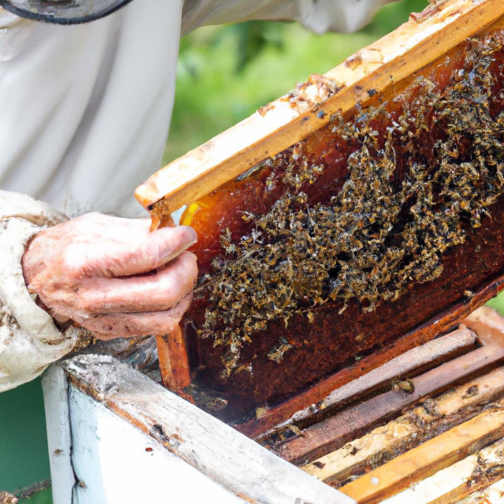 The cost of a nuc of bees can vary depending on the number and quality of bees