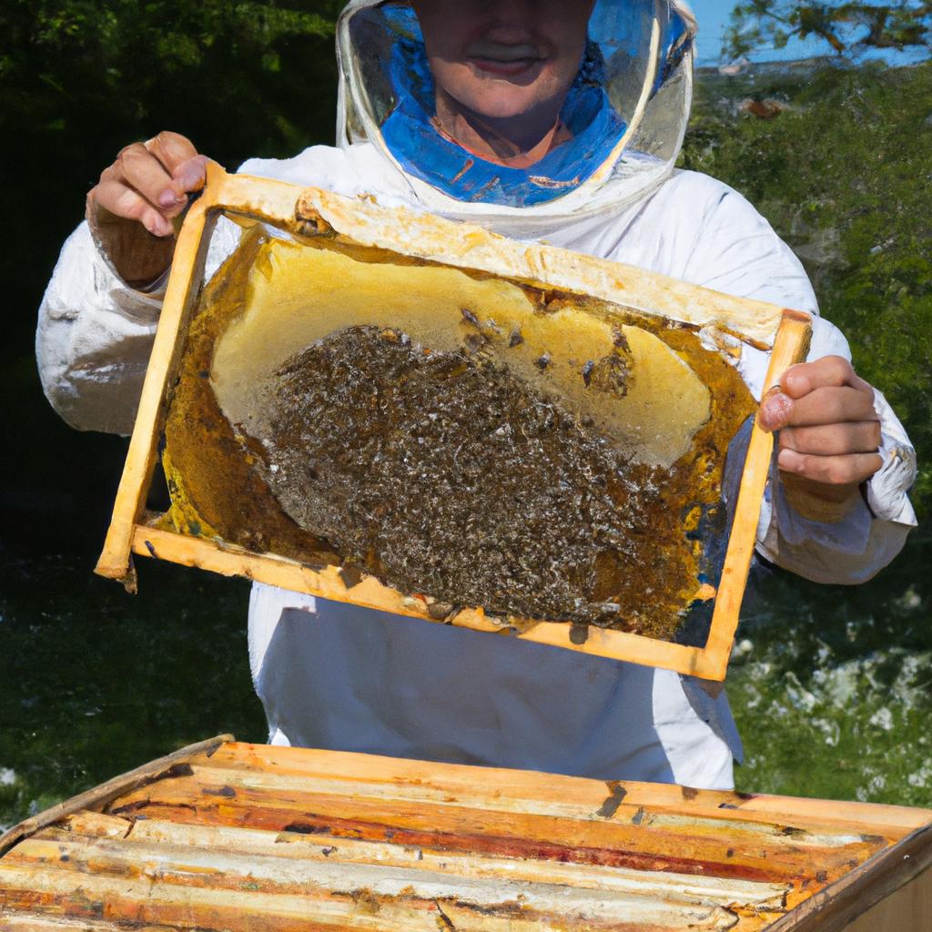 Meet the beekeeper and learn about the process of honey production.