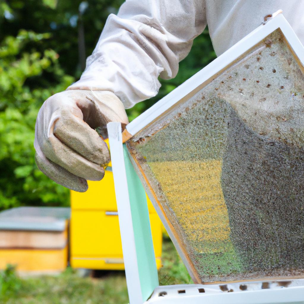Plastic foundation frames can be more durable and easier to clean than traditional wooden frames, but require bees to draw out the wax comb.