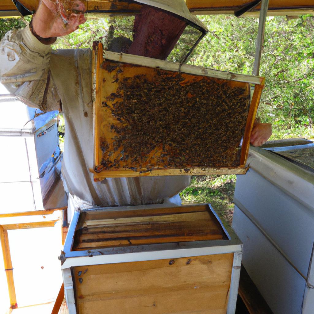 Beekeepers must have the skills and knowledge to properly care for their hives to maximize honey yield.