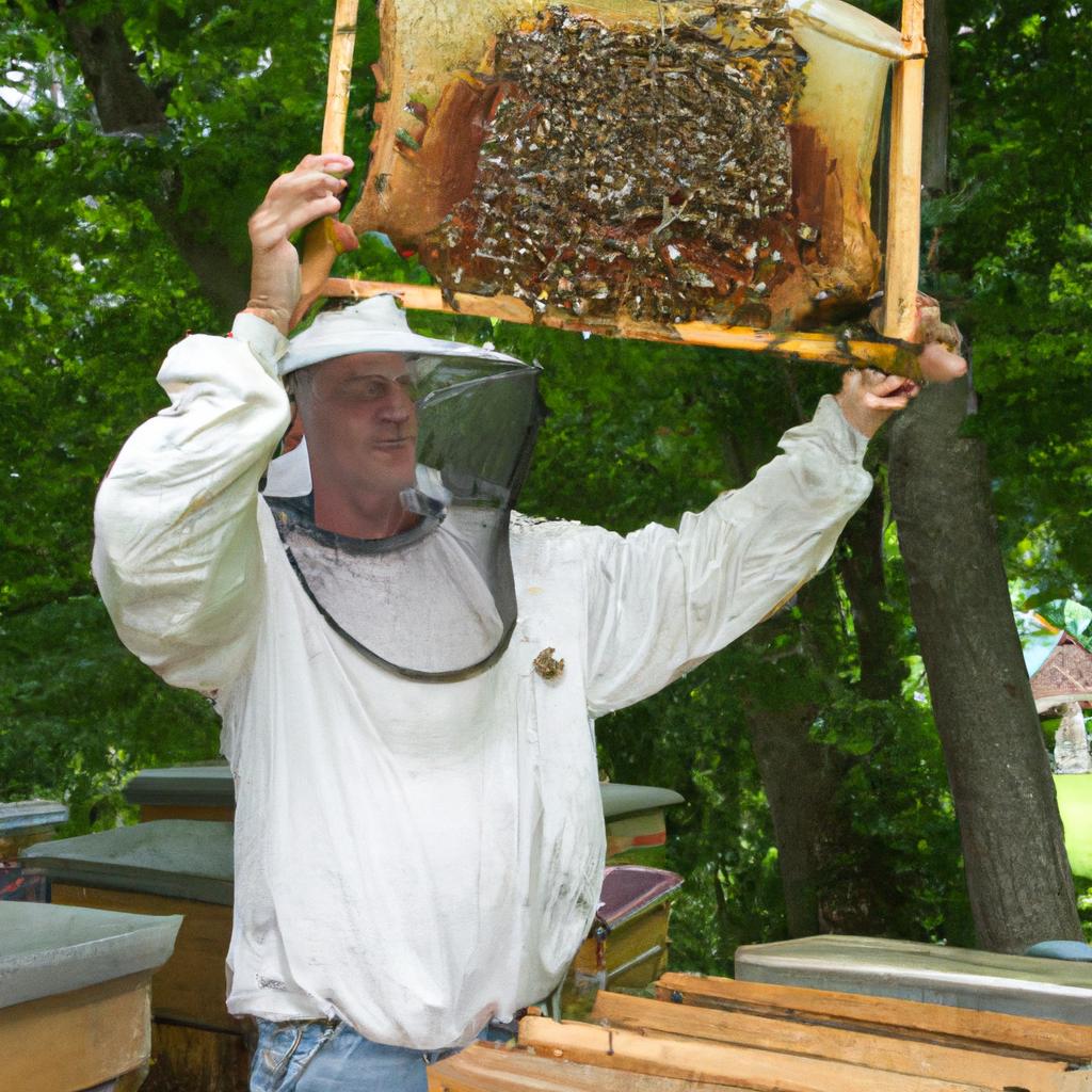 A beekeeper inspecting a medium super for honey production