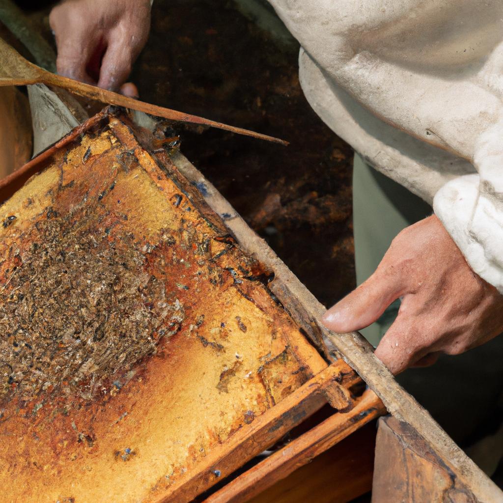 Removing ants from a bee hive requires patience and a gentle touch