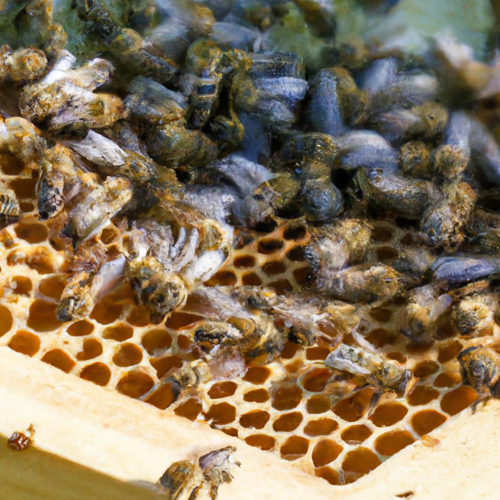Beekeepers can purchase nucs of different types of bees, such as Italian or Russian