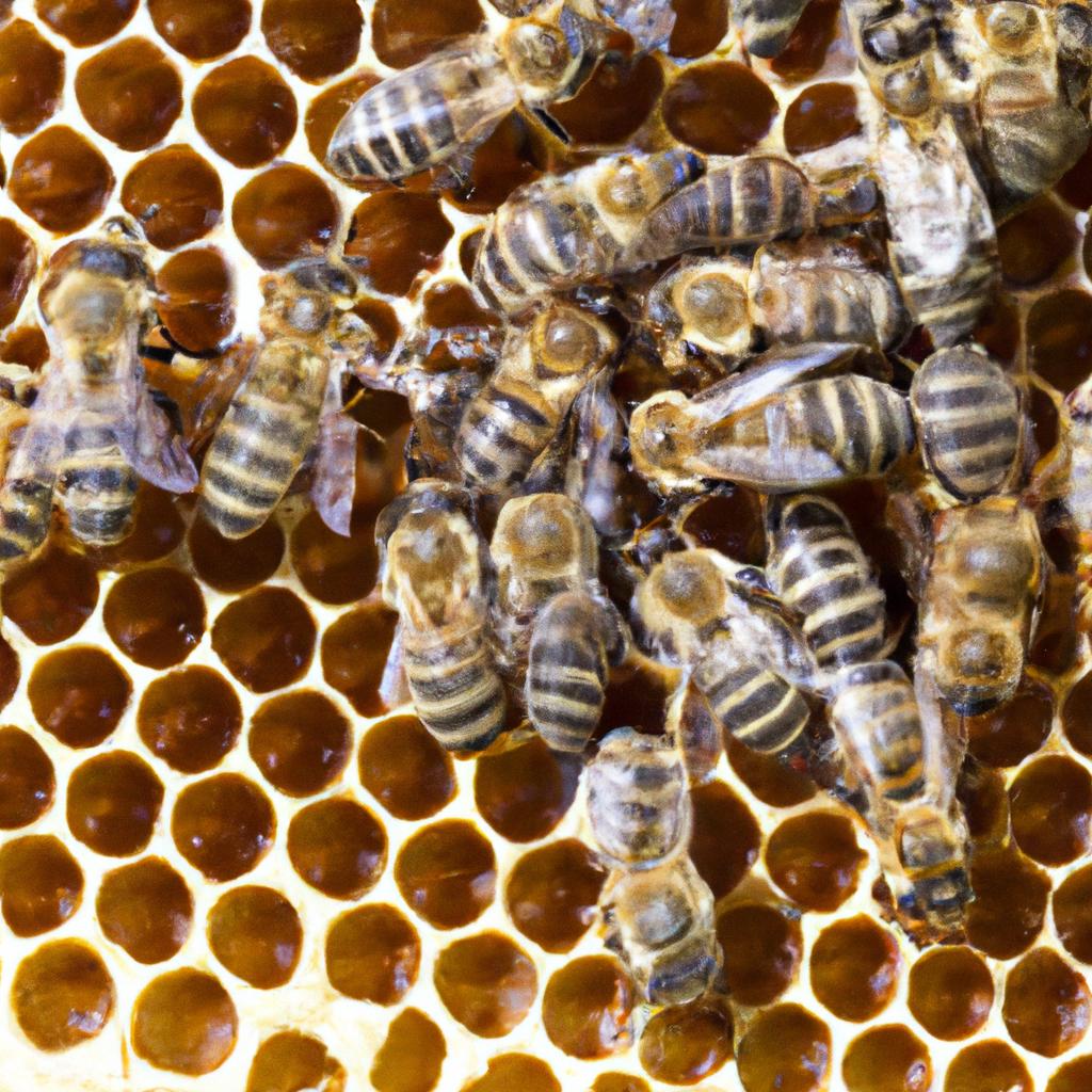 The ideal distance between beehives can vary depending on prevailing weather conditions.