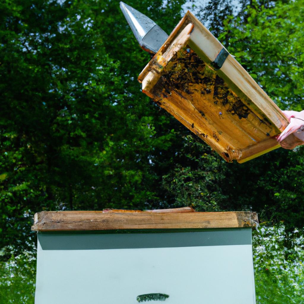 Transferring bees from a nuc to a hive
