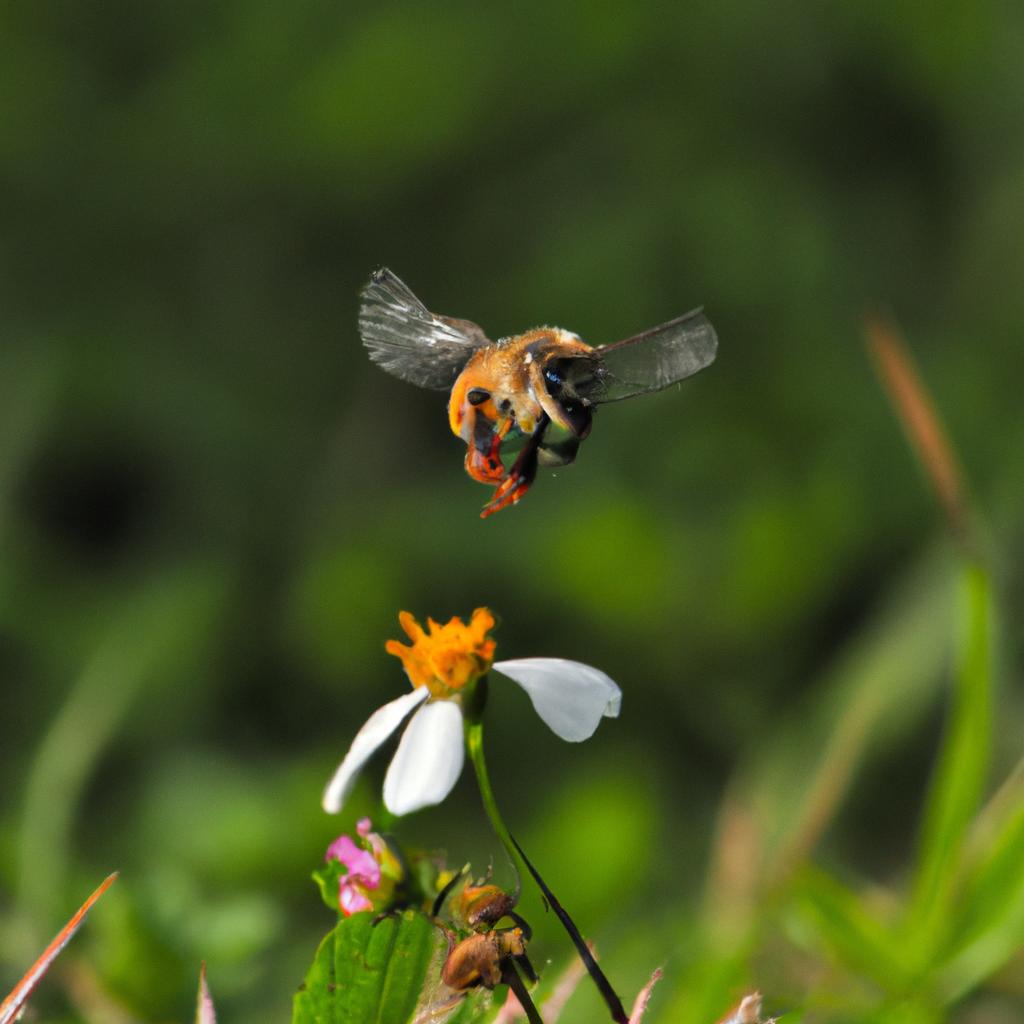 A honey bee uses its wings to regulate its body temperature