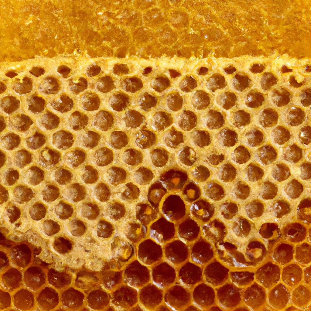 A honeycomb filled with honey can yield multiple gallons