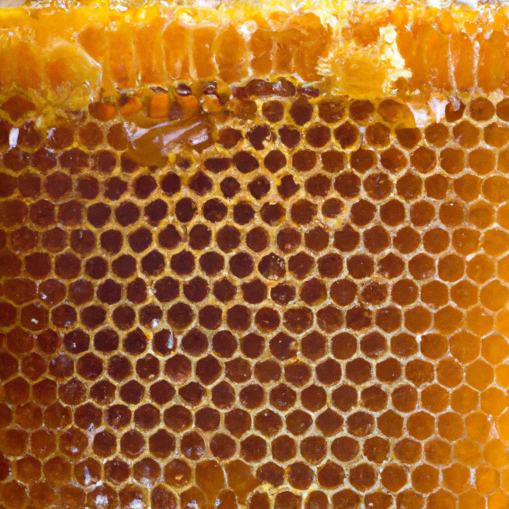 The amount of honey that can be harvested from one hive depends on various factors.
