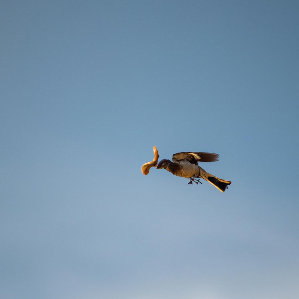 How Do Birds Eat Wasps Without Getting Stung? | BeeKeepinglove.com