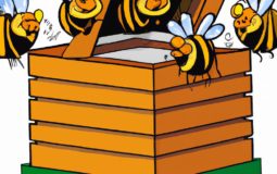 How Many Bees In A 5 Frame Nuc