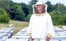 How Much Do Beekeepers Pay To Rent Land