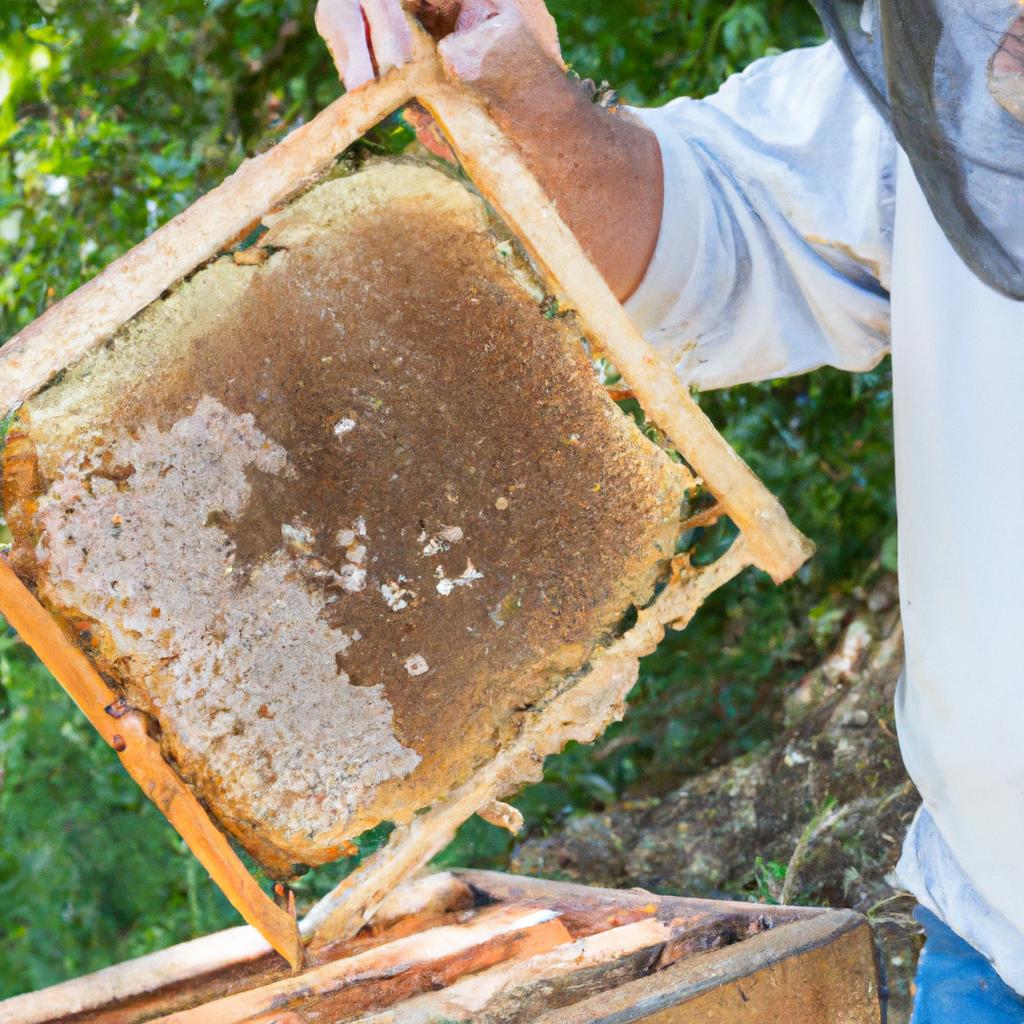How Much Does 5 Gallons of Honey Weigh? | BeeKeepinglove.com