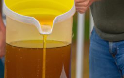 How Much Does A Gallon Of Honey Weigh