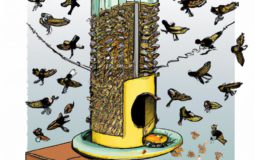 How To Keep Bees Away From Oriole Feeders