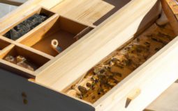 How To Make A Quilt Box For Bees