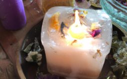 How To Make Candles With Dried Flowers And Crystals