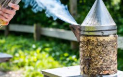 How To Use A Bee Smoker With Pellets