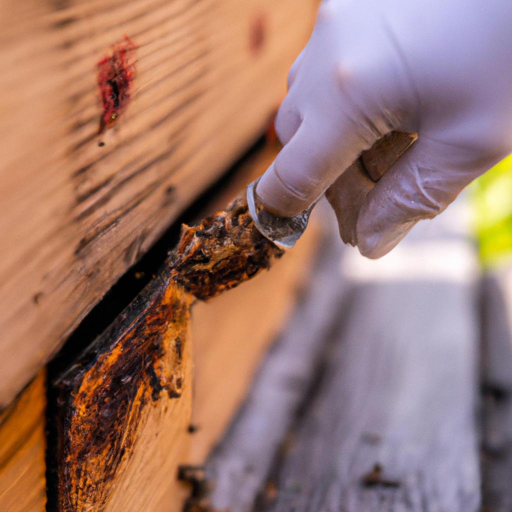 Prevention and natural remedies can be effective in controlling ant infestations in beehives