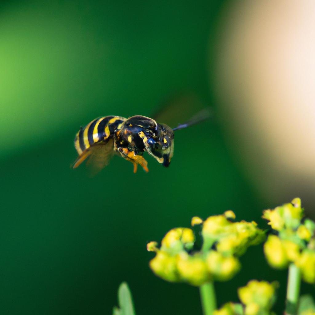 Understanding wasp behavior to reduce fear